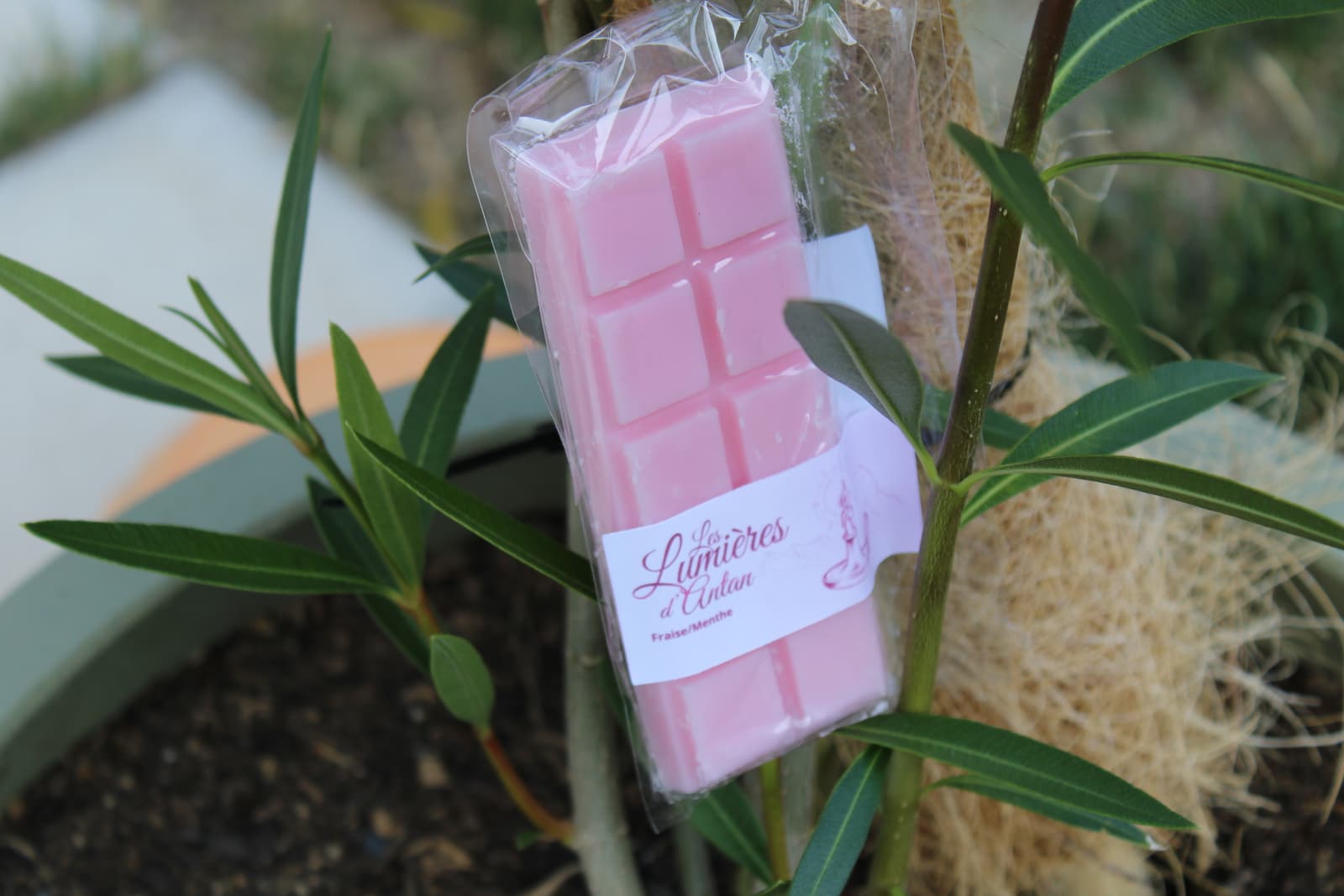 Les Tablettes d'Antan - Fraise & Menthe — vue 2